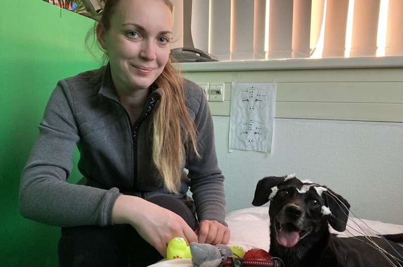 Your dog understands that some words "stand for" objects